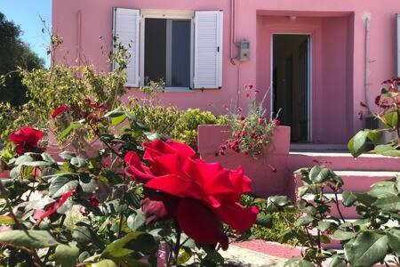 فيلا Pesádhaفي Pink House المظهر الخارجي الصورة